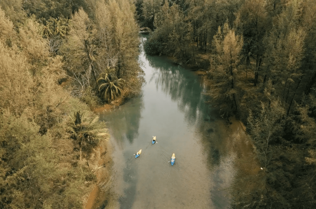 ”Nature- Kayaking for the Family”